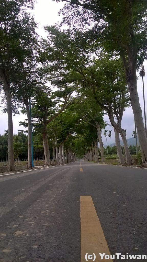 龍天村のまっすぐな道